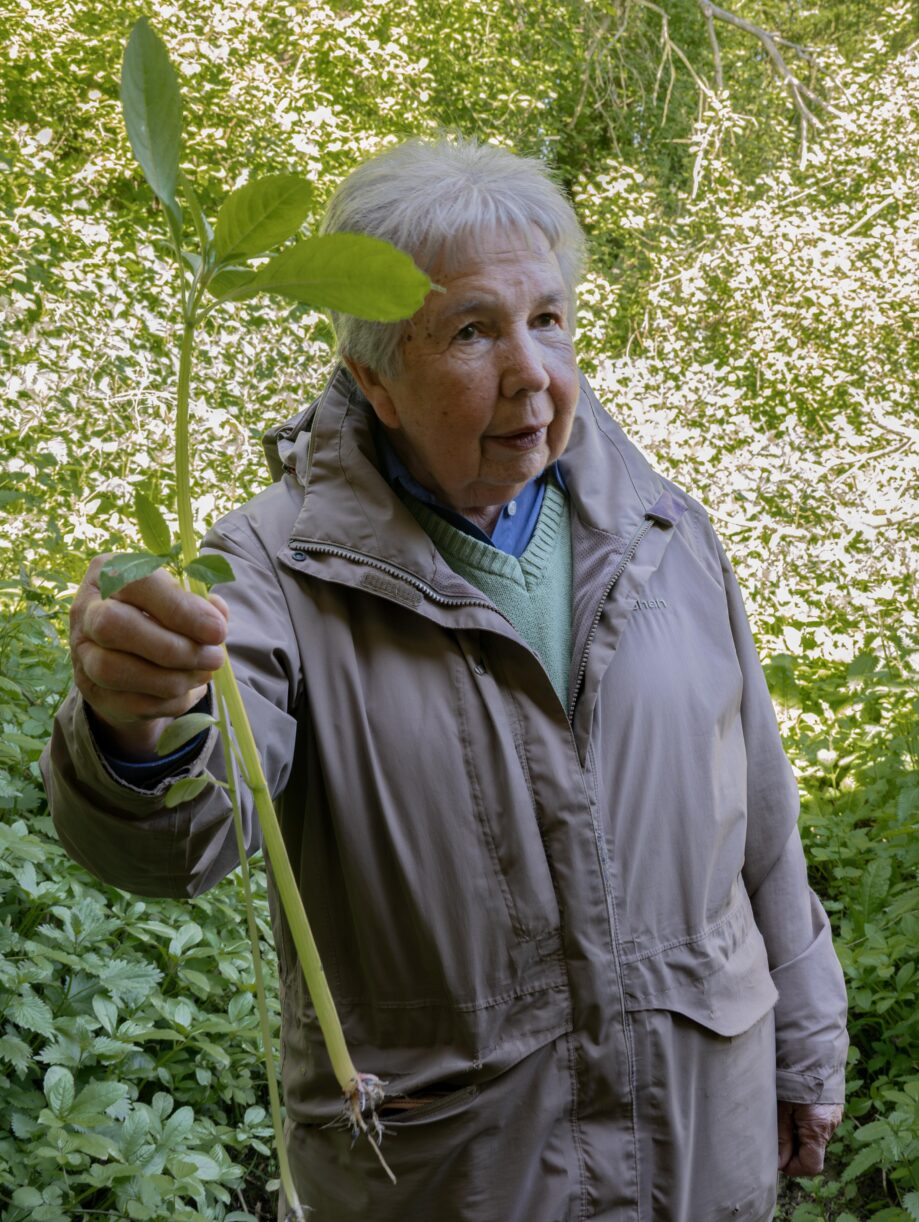 Margaret with the invasive Himalayan Balsam