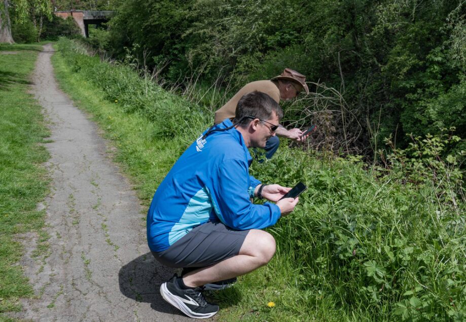Photographing plants and invertebrates to add to York's score for YCNC