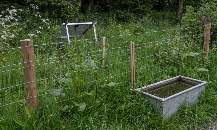 The solar operated livestock drinking trough drawing water from the river.