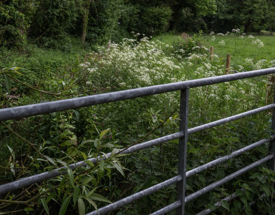 New fencing and 3m buffer strip.