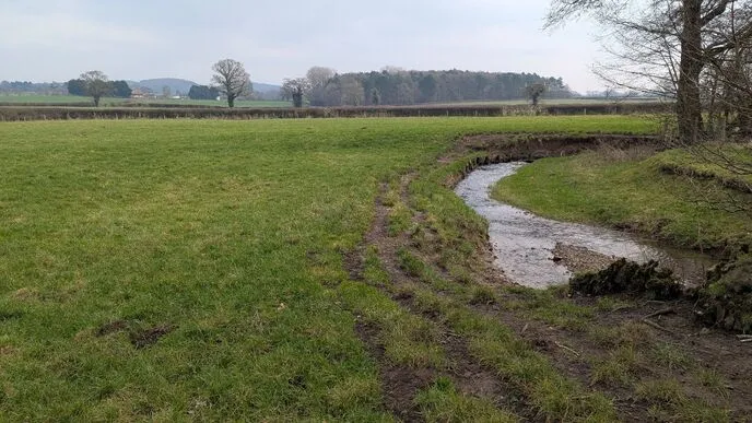 The River Foss at Crayke, prior to the restoration work. Photo courtesy of YWT.