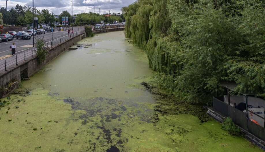Looking downstream from the Cable Bridge towards our stand